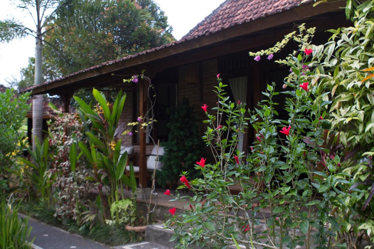 Rumah Sungai Villa Ubud  Exterior photo