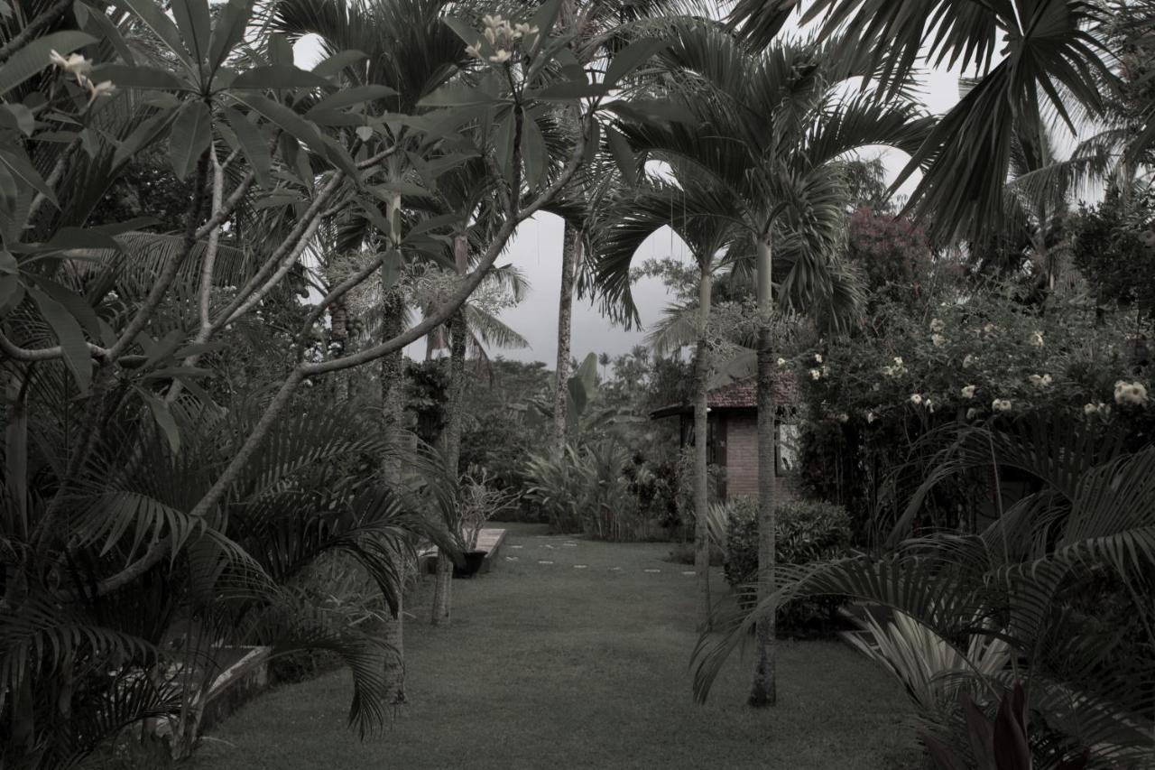 Rumah Sungai Villa Ubud  Exterior photo