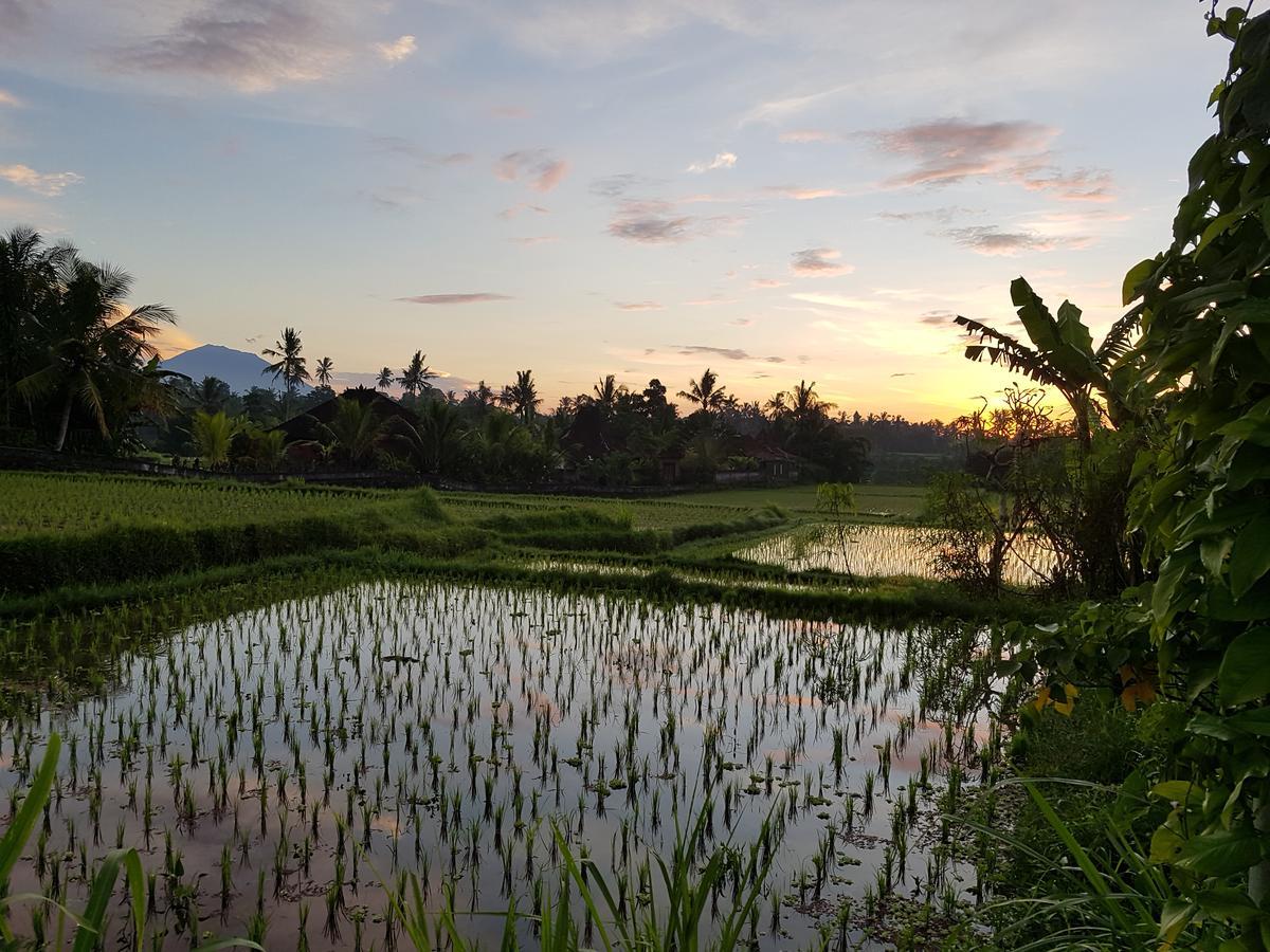 Rumah Sungai Villa Ubud  Exterior photo